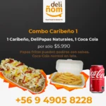 Combo Caribeño 1 (1 Caribeño + DeliPapas Naturales + 1 Coca Cola de lata)